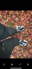 8.0US Clarks Desart Trek Model Limited Edition Vhtf Shoes Sne 4