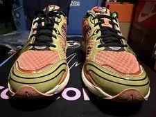 Saucony Progrid Triumph 4 X JAE Tips Flowers Grow Uptown Virginia Creeper SZ:14 4