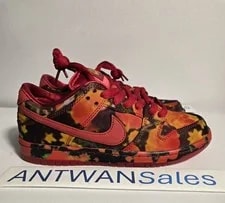 Nike SB Dunk Low Wizard of Oz Field FZ1291-600 Sz 5.5 / 7 3