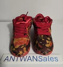 Nike SB Dunk Low Wizard of Oz Field FZ1291-600 Sz 5.5 / 7 4