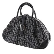 Dior Double Saddle Trotter 2