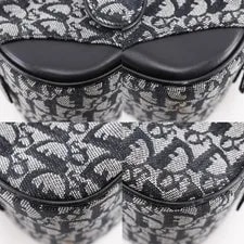 Dior Double Saddle Trotter 4