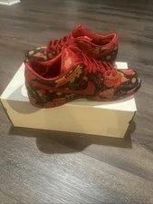 Nike SB Dunk Low the Wizard of Oz Field 2
