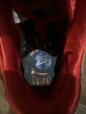 Nike SB Dunk Low the Wizard of Oz Field 3
