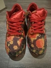 Nike SB Dunk Low the Wizard of Oz Field 4
