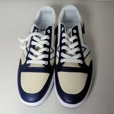 Vans Lowland Cc New Varsity 2 Tone Skate Shoes 2