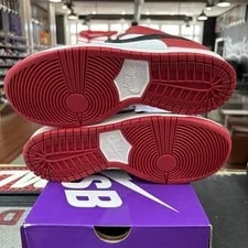 Size 10 - Nike SB Dunk Low J-Pack Lightly Worn W/ Box BQ6817-600 2