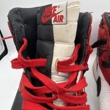 Air Jordan 1 Retro High OG Homage To Home 861428-061 4
