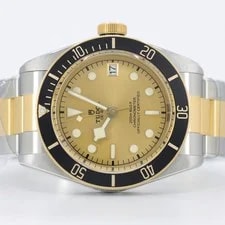Tudor Black Bay S&G 41 Champagne Dial M79733N-0004 2