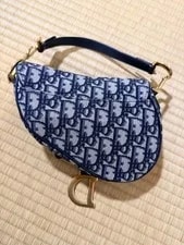 Dior Trotter Saddle #QY6GIW 2