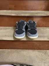 Nike SB Dunk Low Pro Dual-Tone 2
