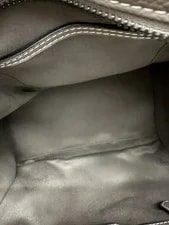 Celine Souris Luggage 2