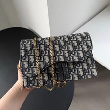 Dior — Christian Dior Saddle WOC GM Chain — Handbag — resale