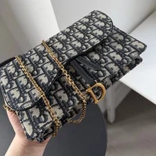 Christian Dior Saddle WOC GM Chain 3