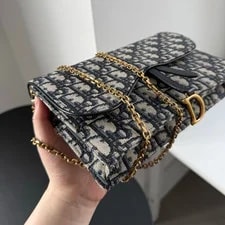 Christian Dior Saddle WOC GM Chain 4