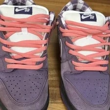 Size 9 - Nike SB Dunk Low X Concepts Lobster 2