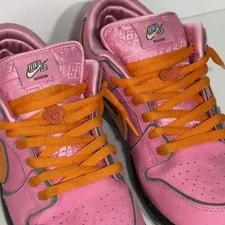Nike SB Powerpuff Blossom SB Dunks Size 9 Excellent Condition 2