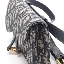 Dior Saddle Waist Body Trotter 4