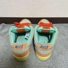 9.0US Nike Sb Dunk Low Pro Prm Dv5429-800 2