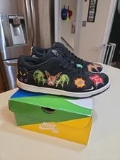 Size 10 - Nike SB Dunk Low Pro QS / / 2022 3