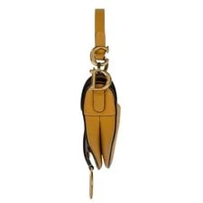 Dior Saddle D Logo #BS202 2