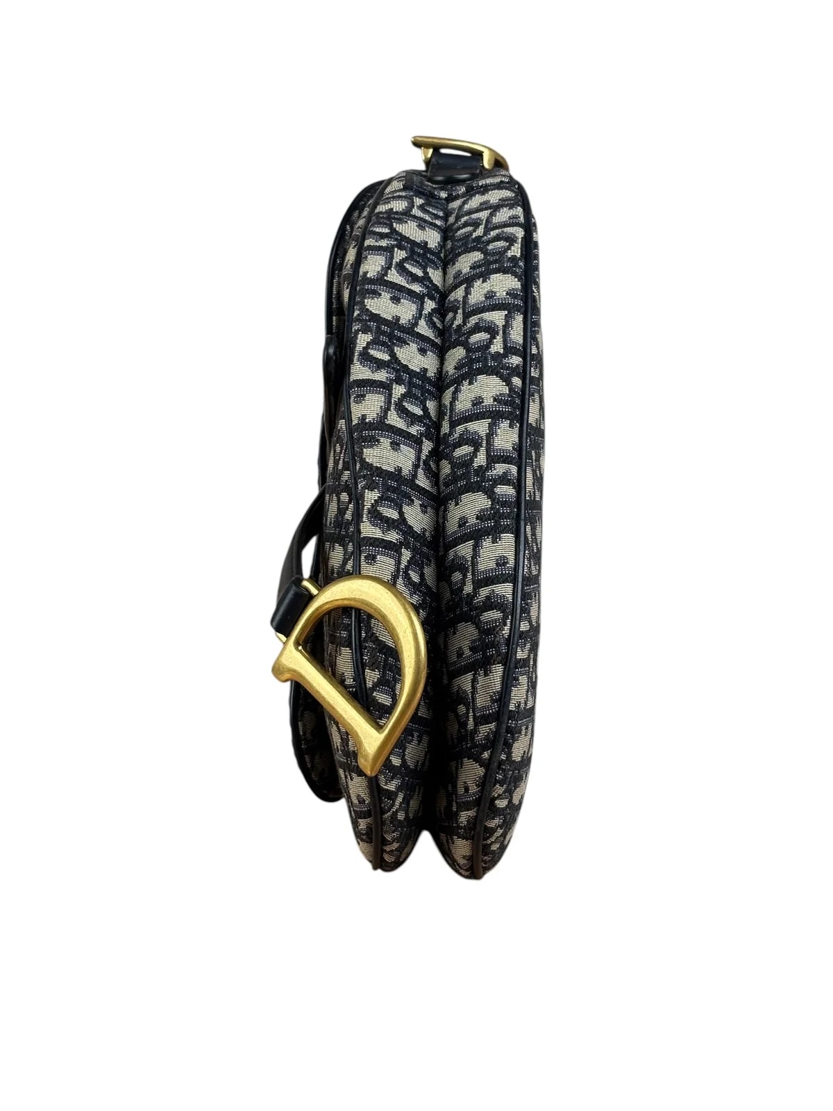 Christian Dior Trim Trotter Saddle Two-Way 4
