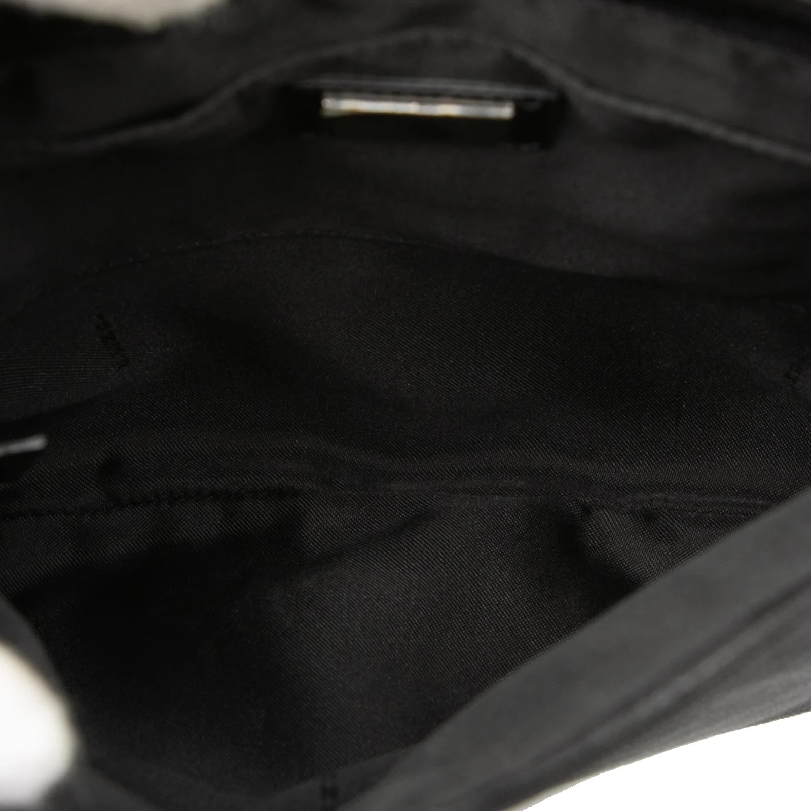 Zebra Printed Crossbody 4