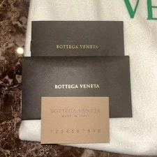 Bottega Veneta the Pouch 3Way 2