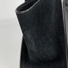 Celine Luggage Shopper By Color 4