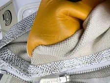 Goyard Plumet Cloth 3