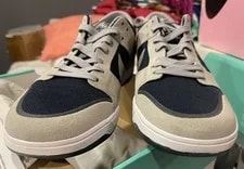 Nike SB Zoom Dunk LOW Elite Shoes 864345-004 " " 2