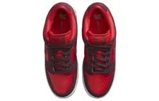 Nike SB Dunk Low DM0807-600 4