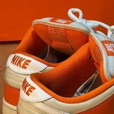 10.0US Dunk Low Shoe Box Nike Sb 2
