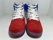 Nike SB Dunk High USA 313171-674 Shoes 2