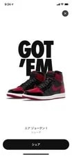 Air Jordan 1 Retro High OG 10.0 US New 3
