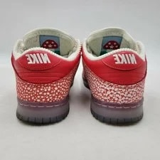 Nike Sb Stingwater Dunk Low OG Qs Dh7650 600 Sb Dunk Low OG Gd119 4