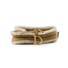 Dior Saddle Mouton 3