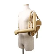 Dior Saddle Mouton 4