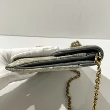 Auth Dior Saddle WOC Chain Crossbody 3
