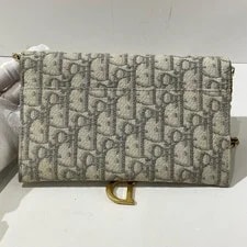 Auth Dior Saddle WOC Chain Crossbody 4
