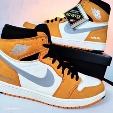 Air Jordan 1 GTX US 13 Nike Retro Element DB2889 700 New