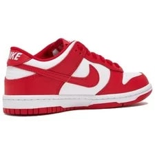 Nike Dunk Low (GS) -119 3