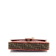 Fendi Embroidered Bird Baguette 4