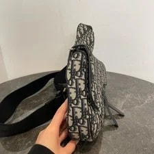 Dior Saddle Iconic Embroidered Print - Very Good #1WM68DA 2