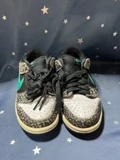 6.0US Nike Sb Dunk Low Elephant/Safari 2