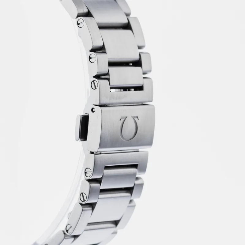 Omega Seamaster Aqua Terra 150M Co-Axial Chronograph 231.10.44.50.01.001 3