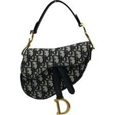 Christian Dior Mini Saddle GHW #1195 2