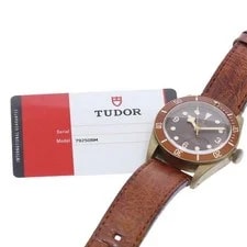 Tudor — Tudor Heritage Black BAY Bronze 79250BM 43mm Bronze Brown #C18179 — Watch — resale