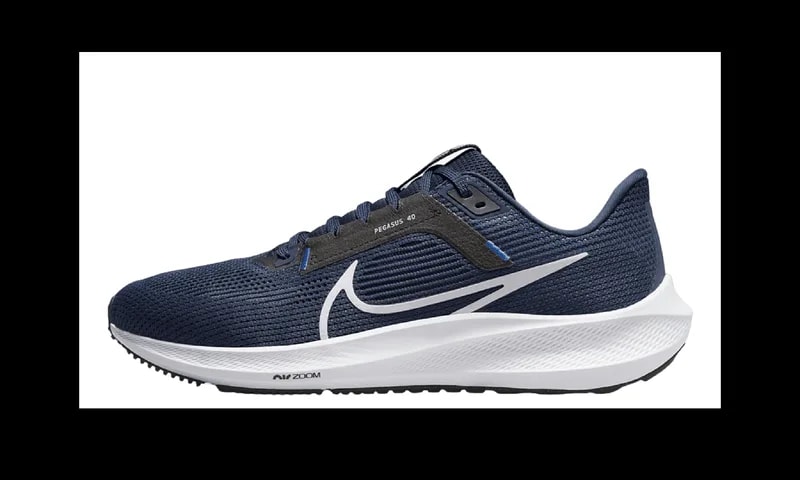 Air Zoom Pegasus 40 " DV3853 400 2