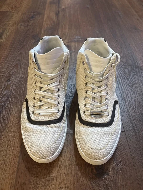 Dior — Homme Reptile Hi-top — Sneaker — resale